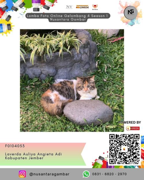 laverda auliya angieta adi