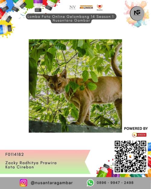 zacky radhitya prawira