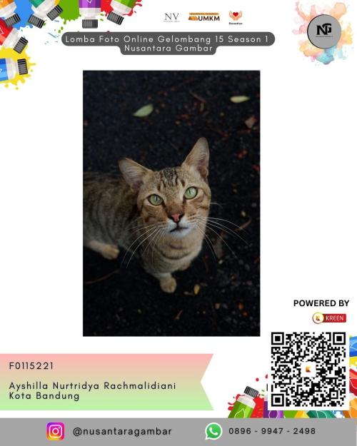 ayshilla nurtridya rachmalidiani